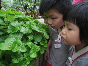 亲自接触各类植物品种