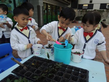 学生自行种植小盆栽